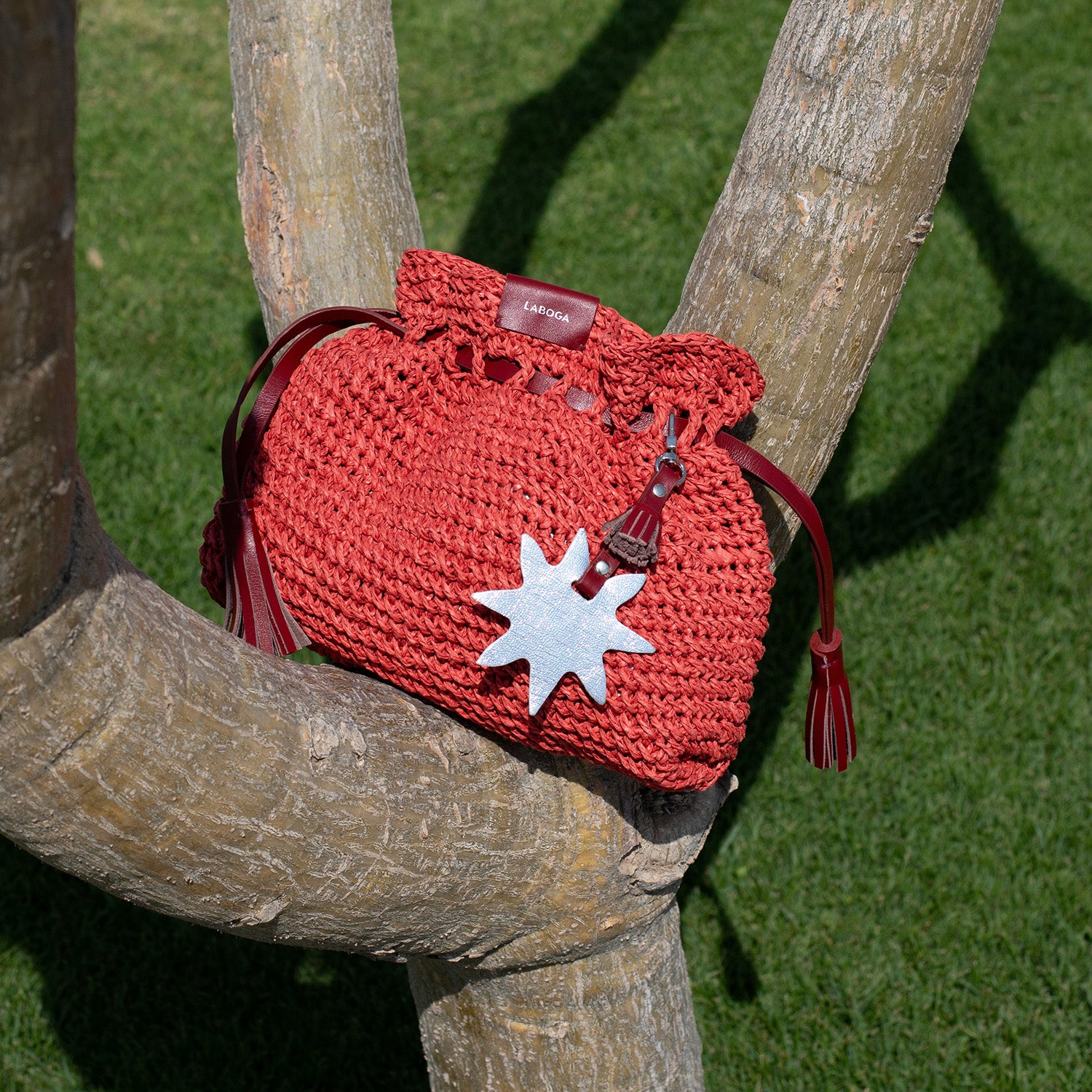 Delphi Clutch